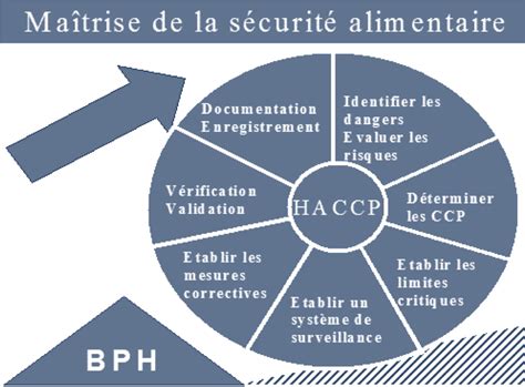 HACCP QHSA Formation