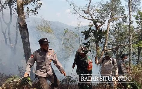 Sudah Dua Hari Hutan Lereng Argopuro Situbondo Terbakar Pemadaman