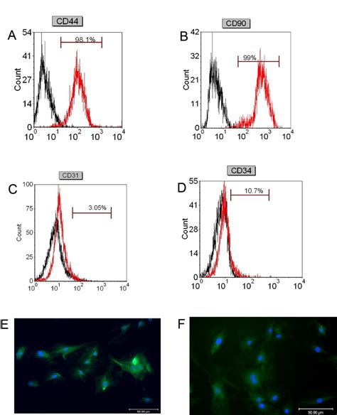 Flow Cytometry And Immunofluorescence Analysis Of Stem Cells Markers In