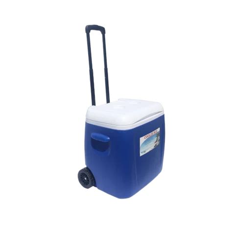 Factory Wholesale 28L 38L Plastic Trolley Cooler Box Outside Insulated