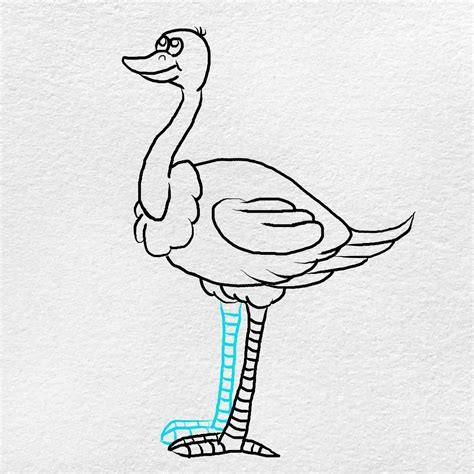 How To Draw An Ostrich Helloartsy