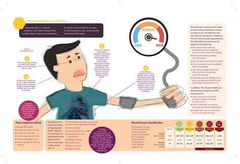 Understand The Hypertension Mechanism Behance