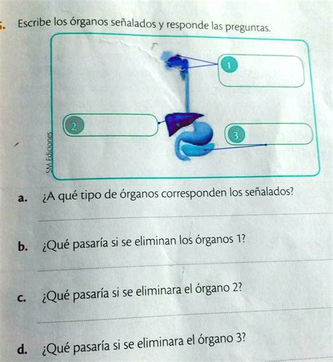 SOLVED ayudenme con esas preguntas porfis Escribe los órganos