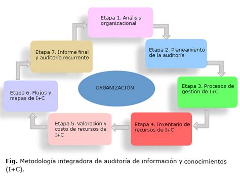 Etapas De La Auditoria De Gestion