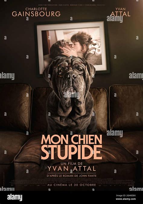 Mon Chien Hi Res Stock Photography And Images Alamy