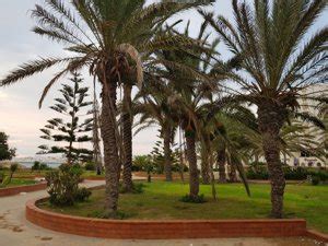 Corniche Garden المهدية Working hours Activities Visitor reviews