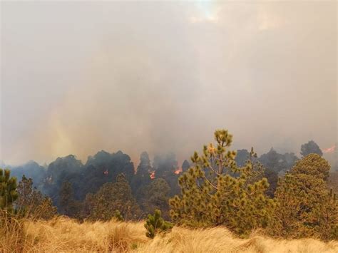 Conafor Reporta Siete Incendios Forestales Activos En El Estado De