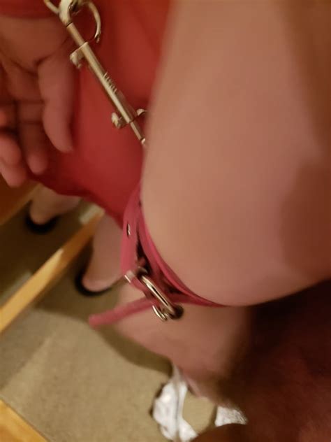 Slave Riding The Pony Pt2 Porn Pictures XXX Photos Sex Images 3791401 PICTOA