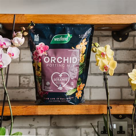 Westland Orchid Potting Mix 4L - Cottage Garden Centre