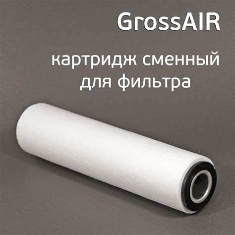 Картридж сменный для GrossAIR в сборе (d=63, h=250мм) фильтрующий ...