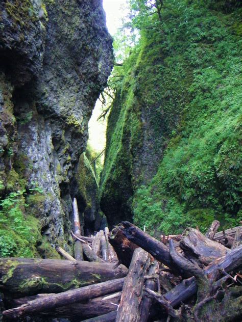 Oneonta Gorge Hike, Oregon