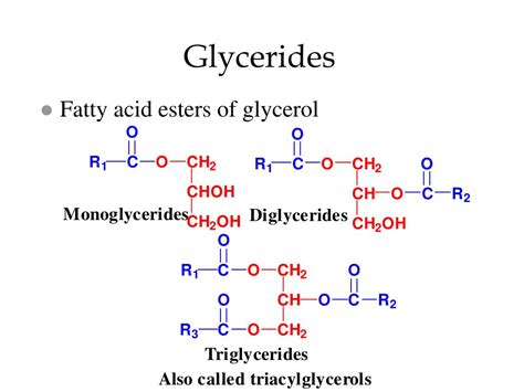 PPT - Lipid structure, function and chemistry PowerPoint Presentation ...