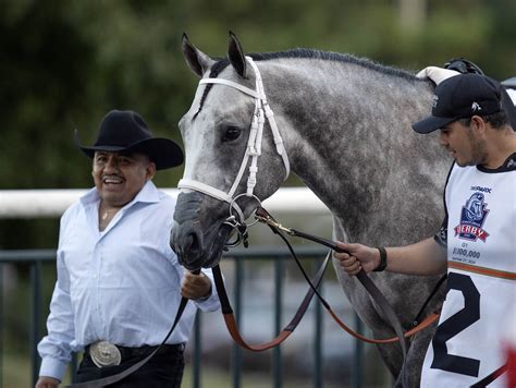 Parx Racetrack Live Horse Racing Schedule, Picks, & News Today