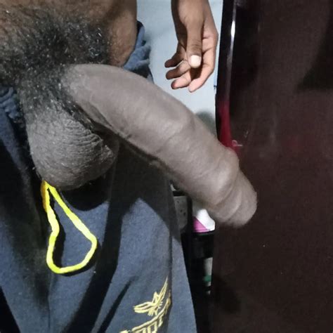 My Cock Collection Nude Pics XHamster