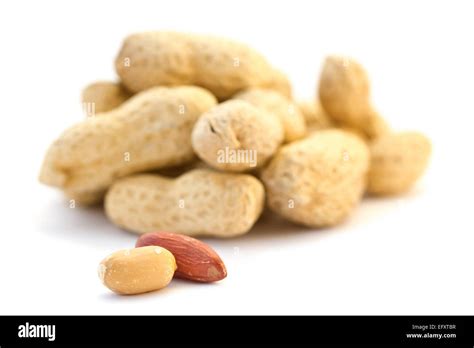 A Pile Of Dried Peanuts Groundnut Arachis Hypogaea Without Shells