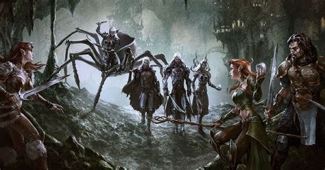 13 Successful Character Builds In Dandd For Intermediate Players