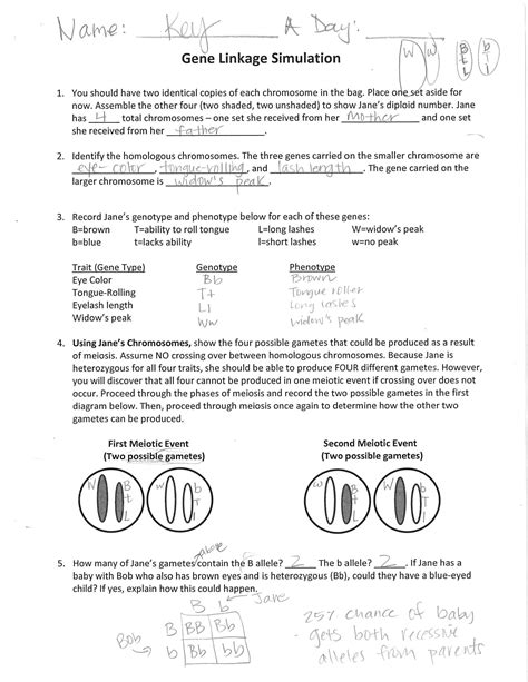 SOLUTION Gene Linkage Simulation Key Studypool