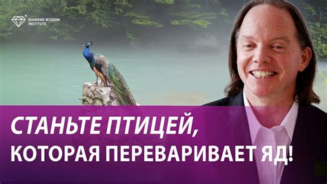 Как отпустить давнюю обиду? - YouTube