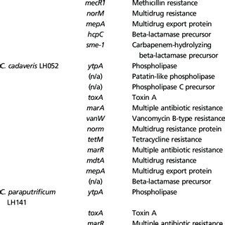 PDF Preterm Infant Associated Clostridium Tertium Clostridium