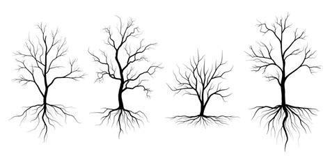 Big Collection Black Tree Or Naked Trees Silhouettes Vector Hand Drawn