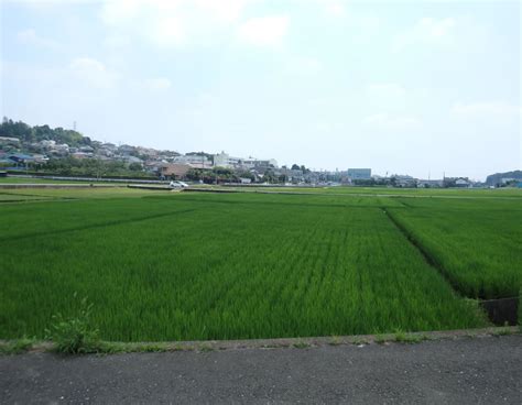 無線ブログ集 神奈川県横浜市青葉区より～ ライセンスフリー無線情報