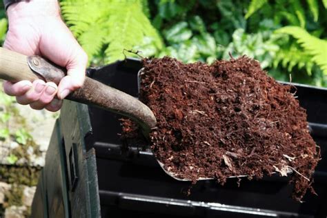 Kompostierung Und Recycling Im Garten Nachhaltige Praktiken