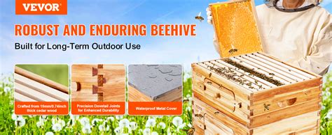 Amazon Vevor Bee Hive Frame Bee Hives Starter Kit Beeswax