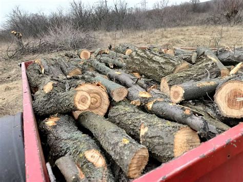 Продам дрова , горіх , фруктові дерева;: 1 200 грн. - Опалення Чкалівка ...