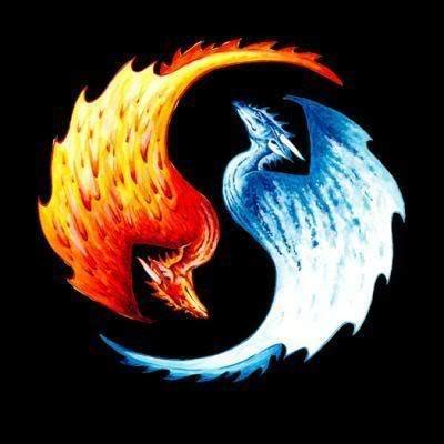 Fire and Ice - Fire and Ice Dragons Photo (9212371) - Fanpop