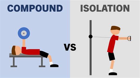 Compound Vs Isolation Lifts For Muscle Growth Youtube