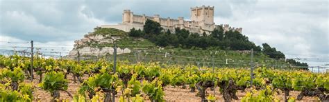 Ribera del Duero - My Favorite Wine Region - The Good Gourmet