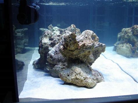 Tips On Designing A Custom Reef Tank Reefbum