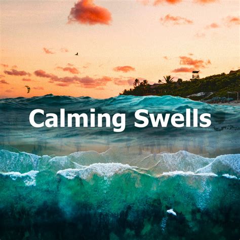 Calming Swells Album By Ocean Sea Sounds Spotify