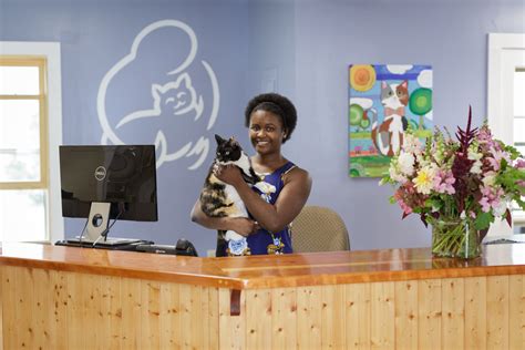 boarding facilities for cats near me 2