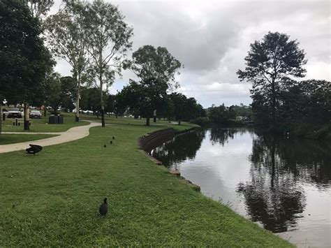 Lake Alford Park Gympie Updated 2020 All You Need To Know Before You