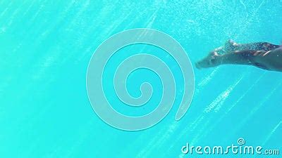 Blonde In Blue Bikini Diving Into The Swimming Pool Stock Footage Video Of Attractive High