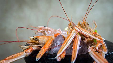 Buy Whole Scottish Langoustine Online Amity Fish Company