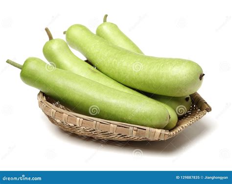 Lagenaria siceraria stock image. Image of background - 129887835