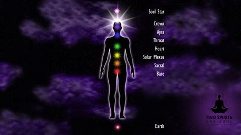 Soul Star And Earth Star Chakras Two Spirits One Soul The Journey