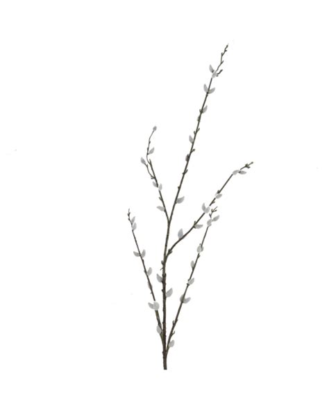 Artificial Pussy Willow Branch Stem Faux Silk