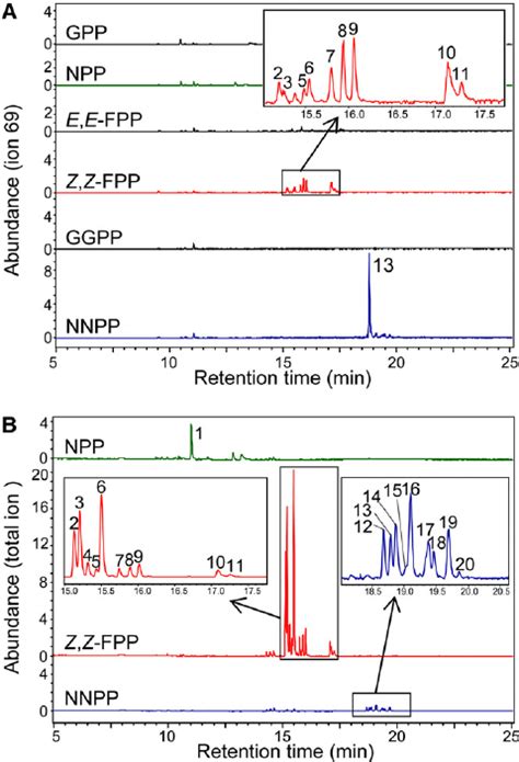 Sl Tps And Sh Tps La Sbs In Vitro Enzymatic Assays With