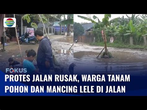 Protes Jalan Rusak Warga Tanam Pohon Pisang Dan Mancing Ikan Lele Di