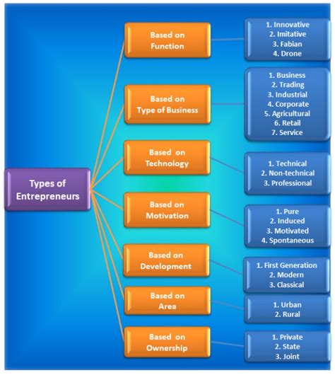 Classification Of Entrepreneurs According To Ownership