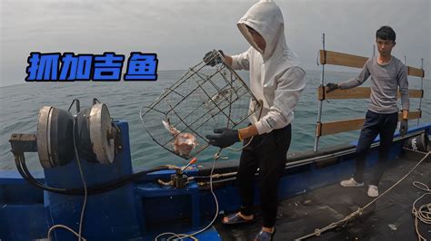 阿浩新船出海试起笼设备，下50个笼子抓加吉鱼，圆满完成任务 三农视频 搜狐视频