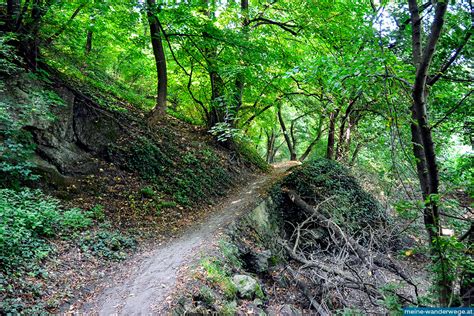 Jakobsweg Sterreich Etappe Wolfsthal Hainburg