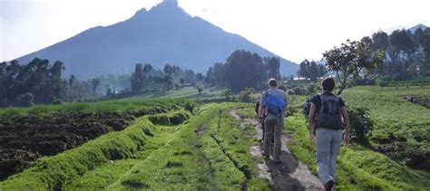 Mount Bisoke Volcano Hike Rwanda or Bisoke Crater Lake