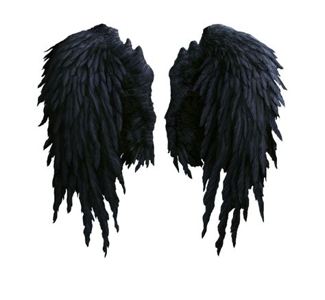 Black Angel Wings Stock Png By Shadow Of Nemo On Deviantart Black