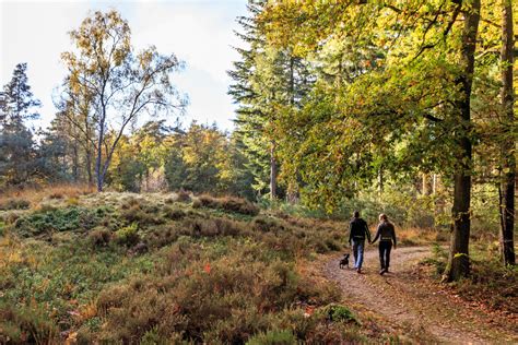 4 X De Herfst Vieren Op De Veluwe Columbus Travel