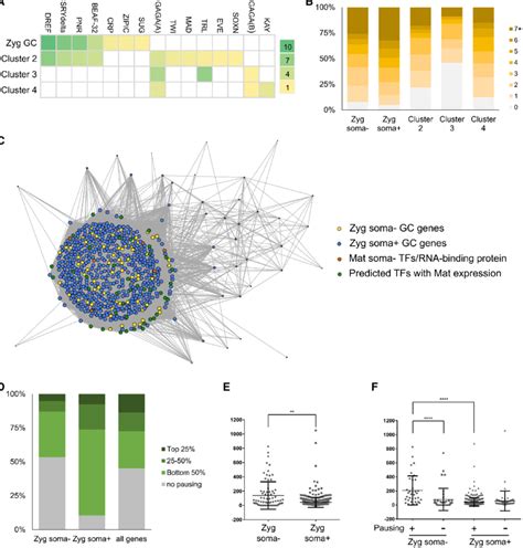 Regulation Of Early Germline Specific Expression A Heat Map Display