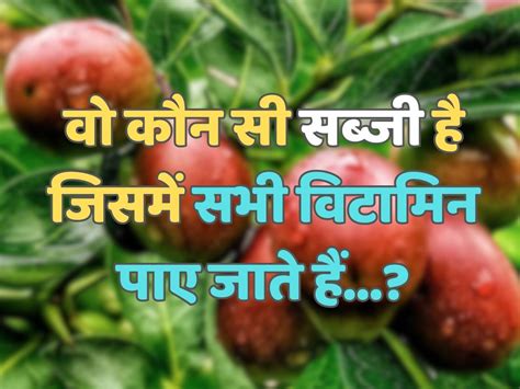 Trending Quiz ऐसी कौन सी सब्जी है जिसमें सभी विटामिन पाए जाते हैं General Knowledge Quiz